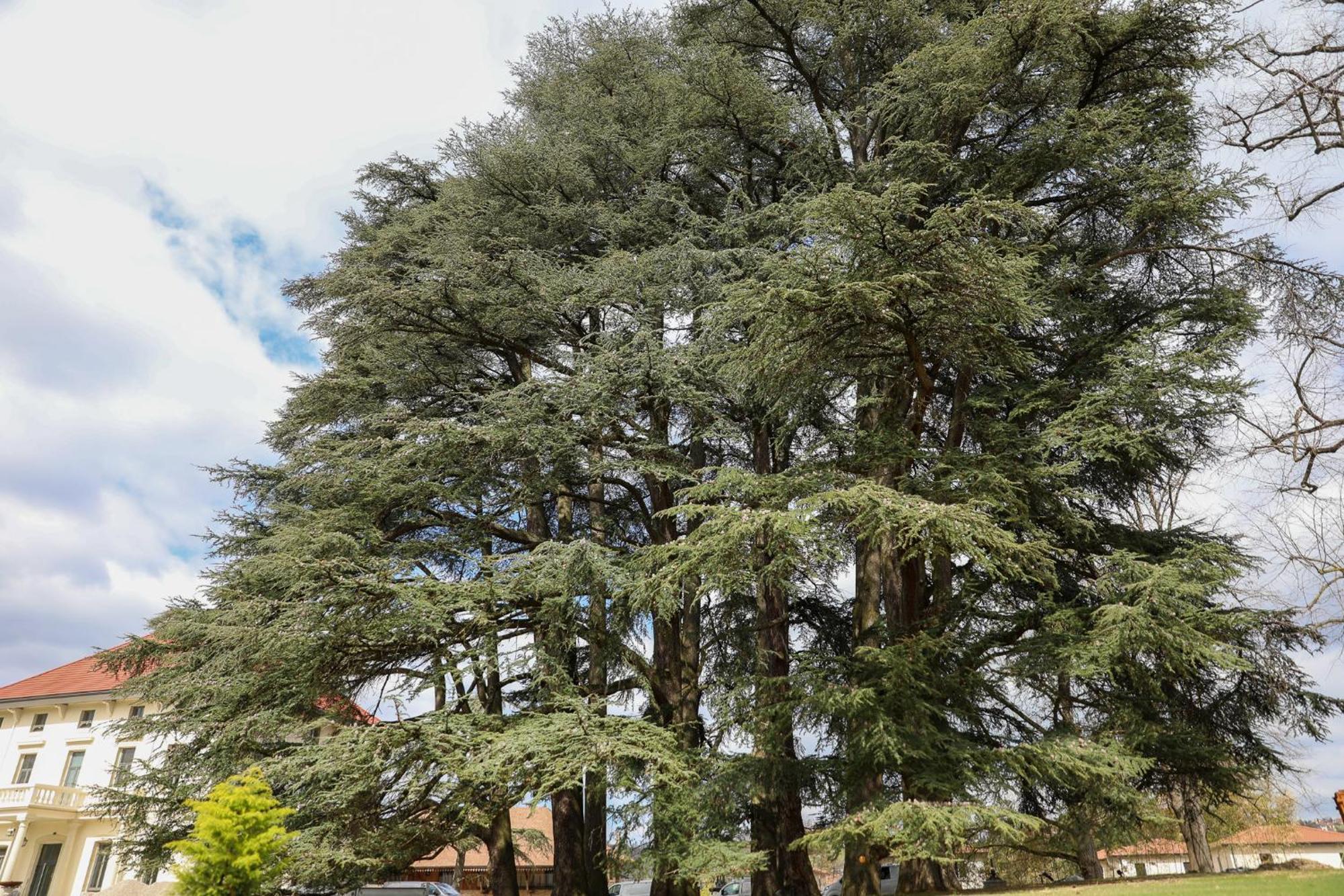 Hotel Sequoias Golf & Ressort